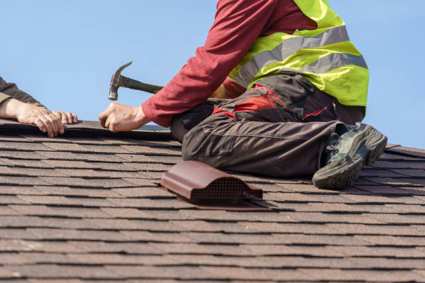 Best Gutter Installation and Roofing  in Mission, TX