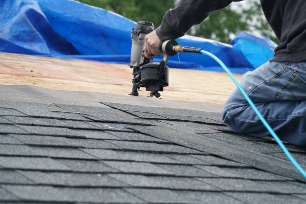 Best Roof Waterproofing Services  in Mission, TX