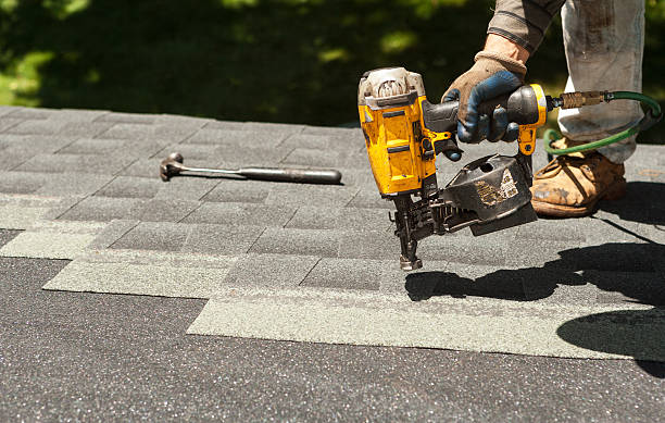 Best Roof Gutter Cleaning  in Mission, TX