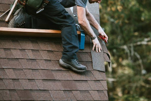 Roof Gutter Cleaning in Mission, TX